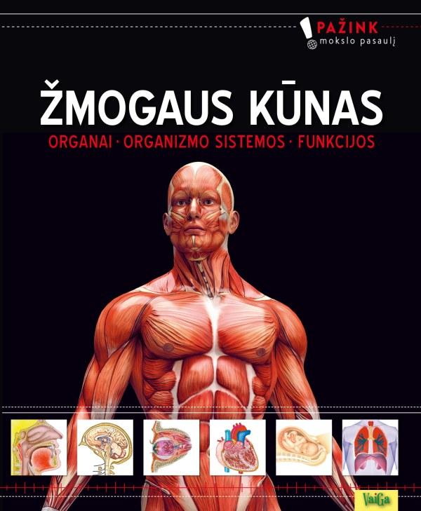 mogaus K nas Organai Organi Zmo Sistemos Funkcijos Humanitas mogaus-k-nas-organai-organi-zmo-sistemos-funkcijos-humanitas
