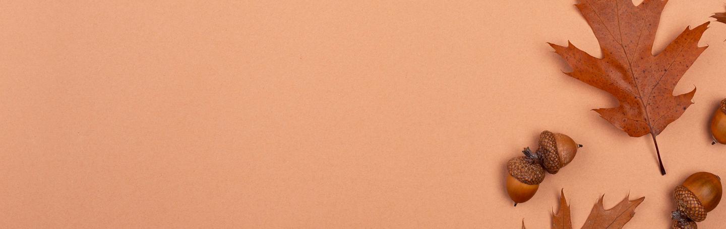 Nuolaida grožinei literatūrai anglų kalba