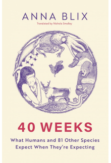 40 Weeks - Humanitas