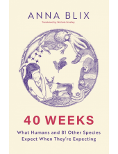 40 Weeks - Humanitas