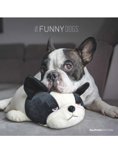 Funny Dogs 2024 metų sieninis kalendorius - Humanitas