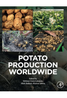 Potato Production Worldwide - Humanitas
