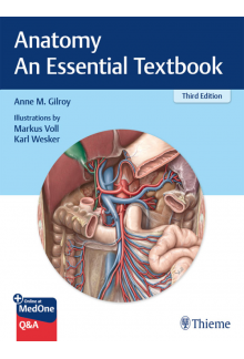 Anatomy An Essential Textbook Anne M Gilroy - Humanitas