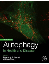 Autophagy in Health and Disease - Humanitas