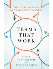 Teams That Work: The Seven Drivers of Team Effectiveness - Humanitas