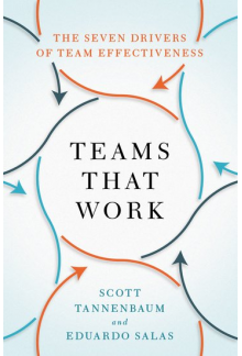 Teams That Work: The Seven Drivers of Team Effectiveness - Humanitas