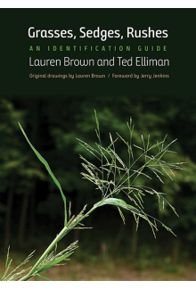Grasses, Sedges, Rushes - Humanitas