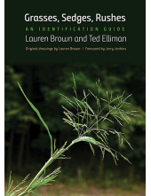 Grasses, Sedges, Rushes - Humanitas