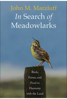 In Search of Meadowlarks - Humanitas