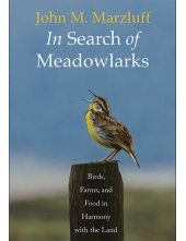 In Search of Meadowlarks - Humanitas