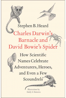 Charles Darwin's Barnacle and David Bowie's Spider - Humanitas