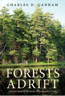 Forests Adrift - Humanitas