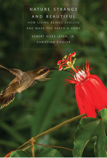 Nature Strange and Beautiful - Humanitas