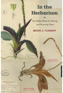 In the Herbarium - Humanitas