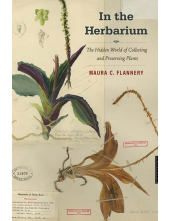 In the Herbarium - Humanitas