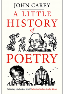 Little History of Poetry - Humanitas