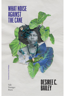 What Noise Against the Cane - Humanitas