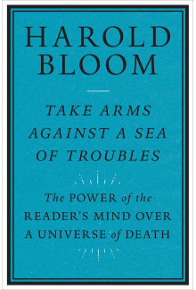 Take Arms Against a Sea of Troubles - Humanitas