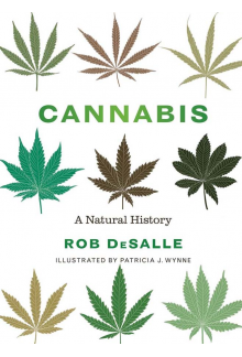 Cannabis - Humanitas
