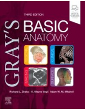 Gray's Basic Anatomy Humanitas