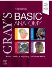 Gray's Basic Anatomy - Humanitas