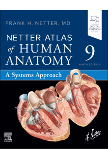 Netter Atlas of Human Anatomy: A Systems Approach - Humanitas