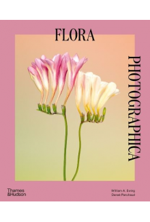 Flora Photographica - Humanitas