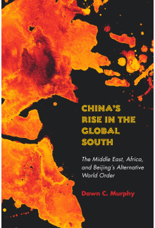 China's Rise in the Global South: The Middle East, Africa, and Beijing's Alternative World Order - Humanitas