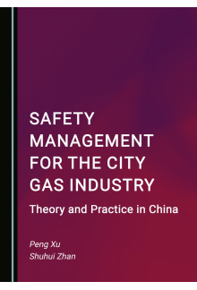 Safety Management for the City Gas Industry: Theory and Practice in China - Humanitas