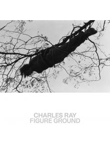 Charles Ray - Humanitas