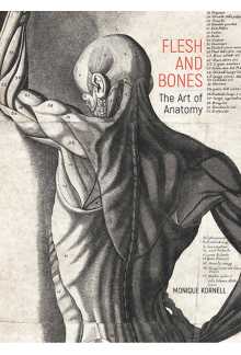 Flesh and Bones - Humanitas