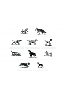 Dog Box : 100 Postcards by 10 Artists - Humanitas