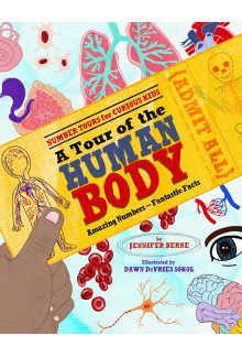 Tour of the Human Body - Humanitas