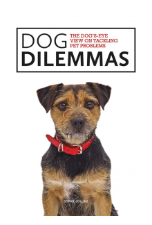 Dog's-Eye View - Humanitas
