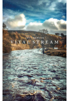 Vital Stream - Humanitas