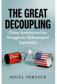 Great Decoupling - Humanitas