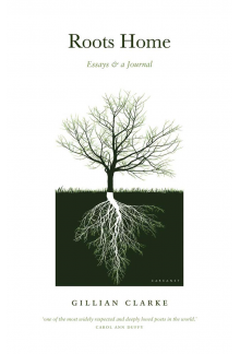 Roots Home - Humanitas
