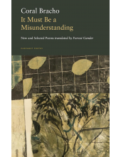 It Must Be a Misunderstanding - Humanitas