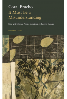 It Must Be a Misunderstanding - Humanitas