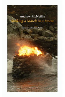 Striking a Match in a Storm - Humanitas