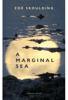 Marginal Sea - Humanitas