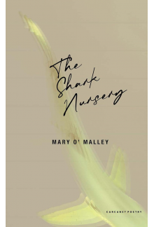 Shark Nursery - Humanitas