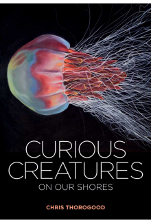 Curious Creatures on our Shores - Humanitas