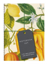 Botanical Art Notebook Set: Lemon, Chillis and Apples - Humanitas