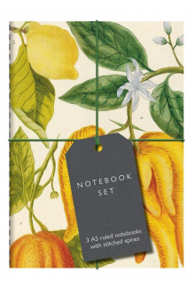 Botanical Art Notebook Set: Lemon, Chillis and Apples - Humanitas