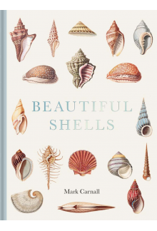 Beautiful Shells - Humanitas