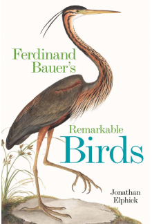 Ferdinand Bauer's Remarkable Birds - Humanitas