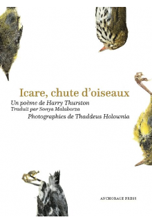 Icare, chute doiseaux - Humanitas