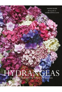 Hydrangeas : Beautiful variete s for home and garden - Humanitas