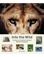 Into the Wild - Humanitas